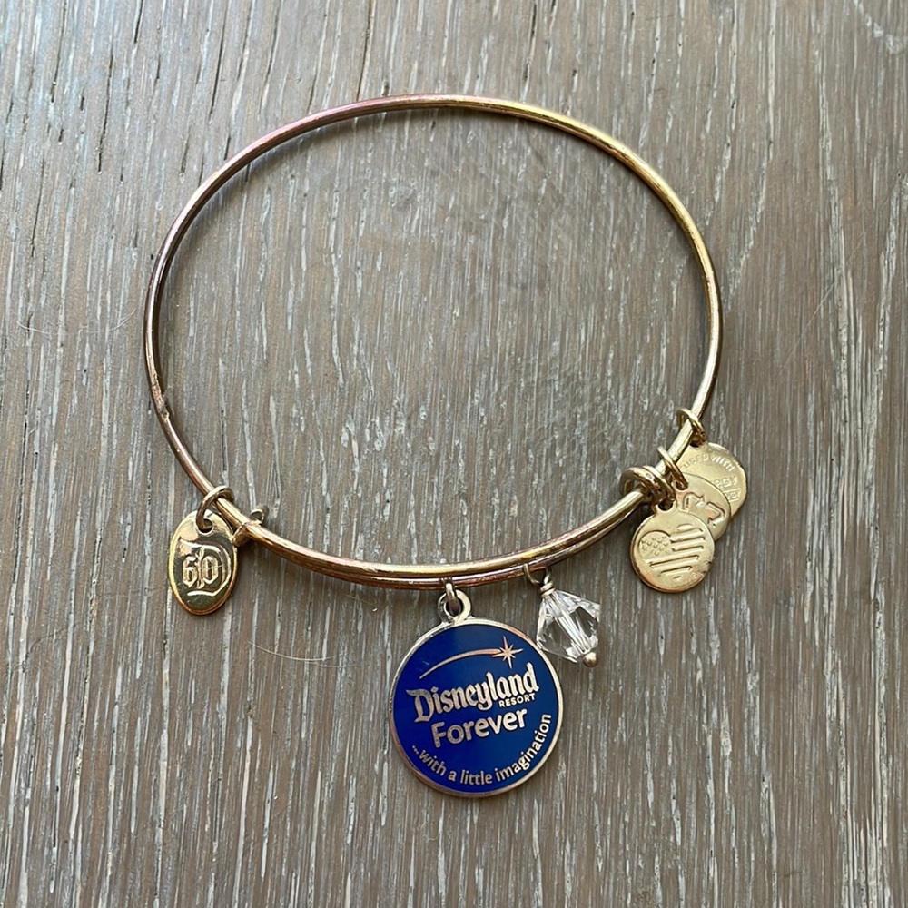 Alex and Ani Disneyland Forever Bracelet